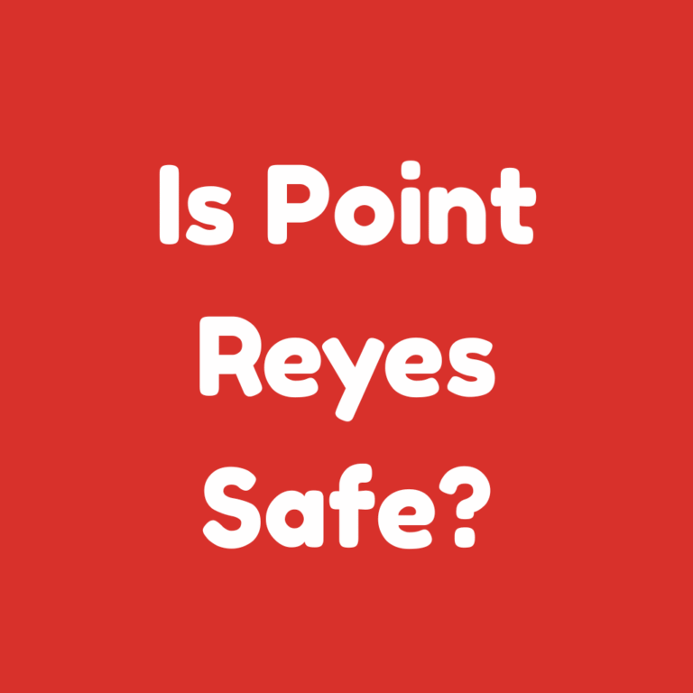 Is Point Reyes Safe?