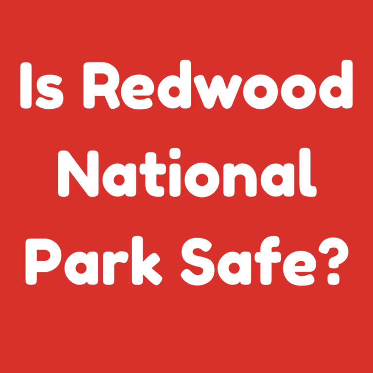 Is Redwood National Park Safe