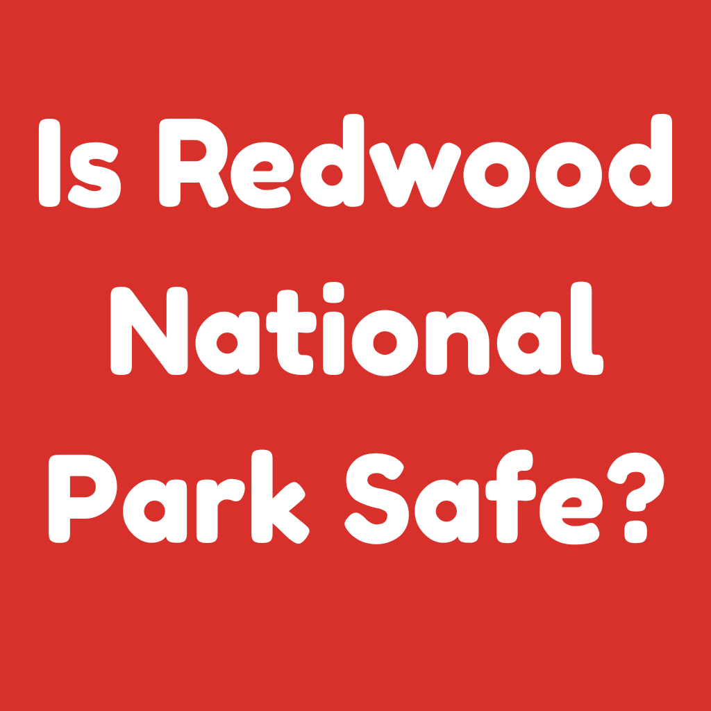 Is Redwood National Park Safe