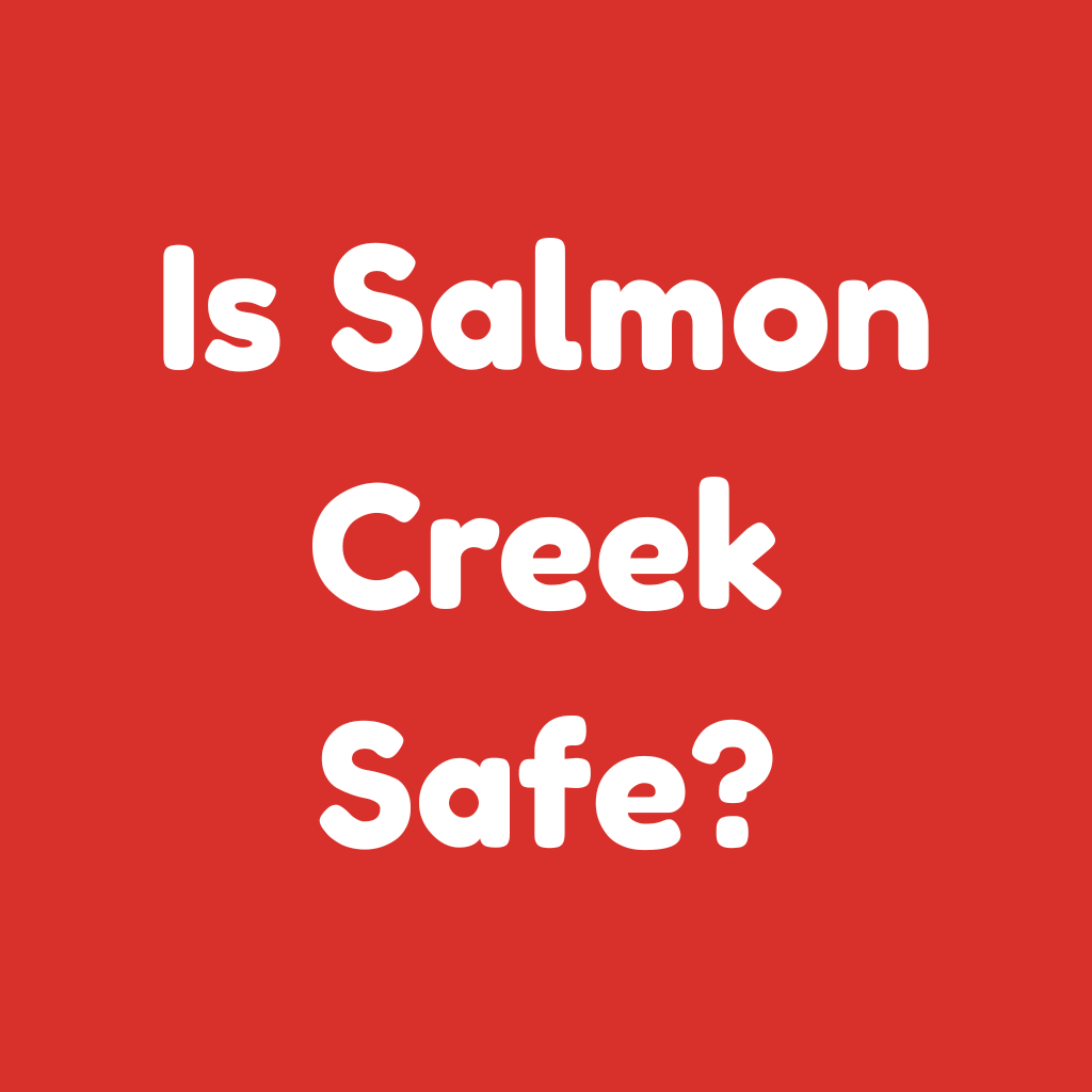 Is Salmon Creek Safe
