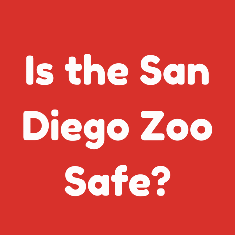 Is the San Diego Zoo Safe
