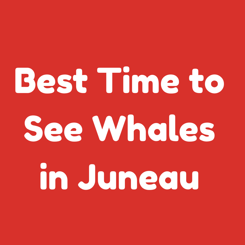 Best Time to See Whales in Juneau